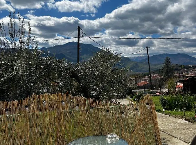 Catch N Relax * Калампака